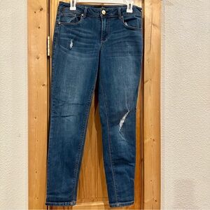 1822 Adrianna Classic Blue Women's Skinny Jeans 10